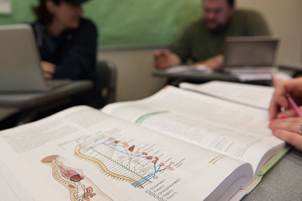 Bachelor of Applied Science in Allied Health - Community Health and Education