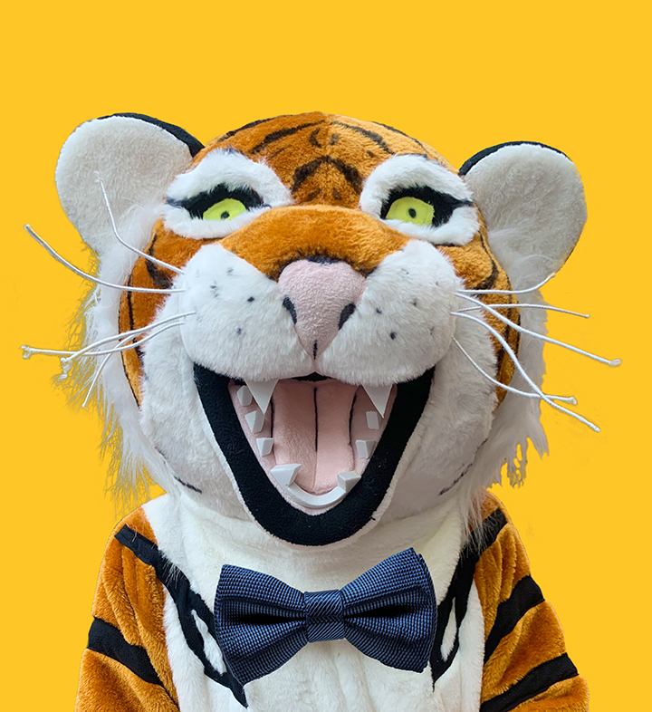 Headshot of Tiger mascot Theo
